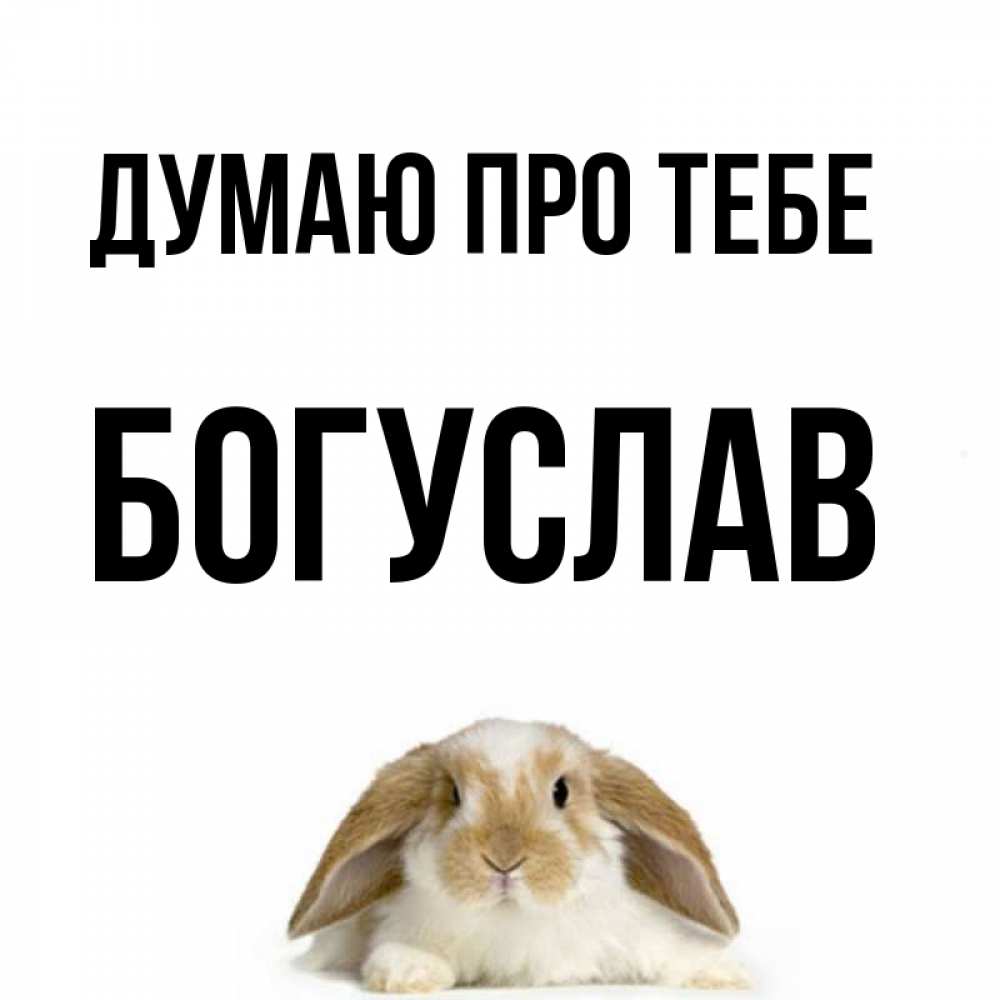 Открытка на каждый день з підписом, Богуслав Думаю про тебе подписать своими руками онлайн Прикольна листівка з побажанням онлайн скачати безкоштовно 