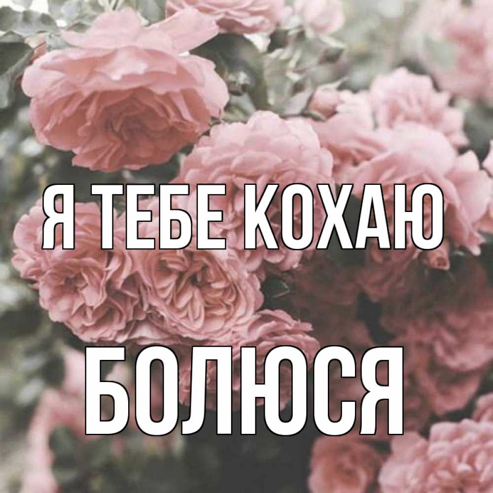 Открытка на каждый день з підписом, Болюся Я тебе кохаю розы 3 Прикольна листівка з побажанням онлайн скачати безкоштовно 