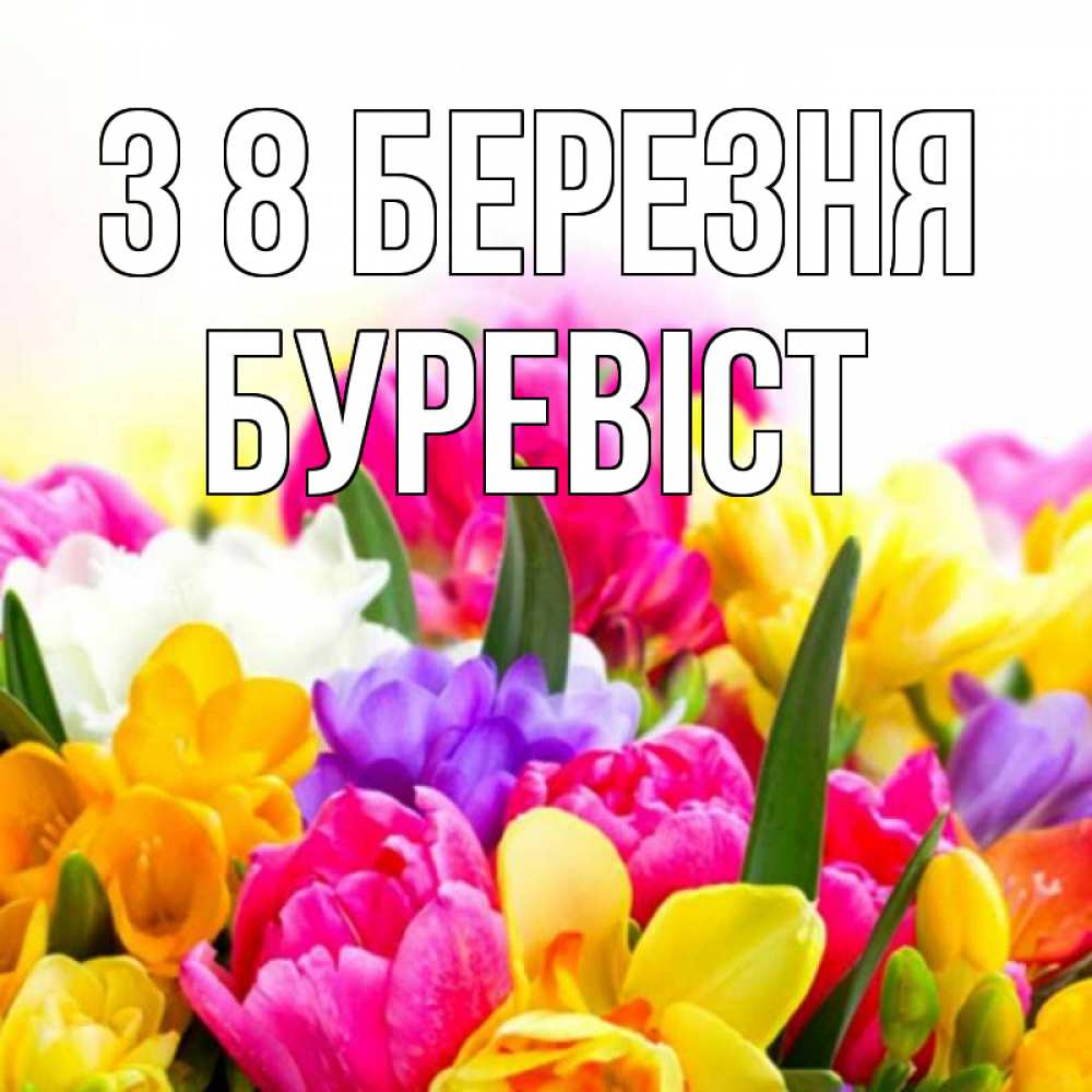 Открытка на каждый день з підписом, Буревіст З 8 БЕРЕЗНЯ тюльпаны Прикольна листівка з побажанням онлайн скачати безкоштовно 