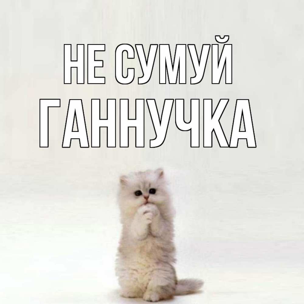 Открытка на каждый день з підписом, Ганнучка Не сумуй грустный кот Прикольна листівка з побажанням онлайн скачати безкоштовно 