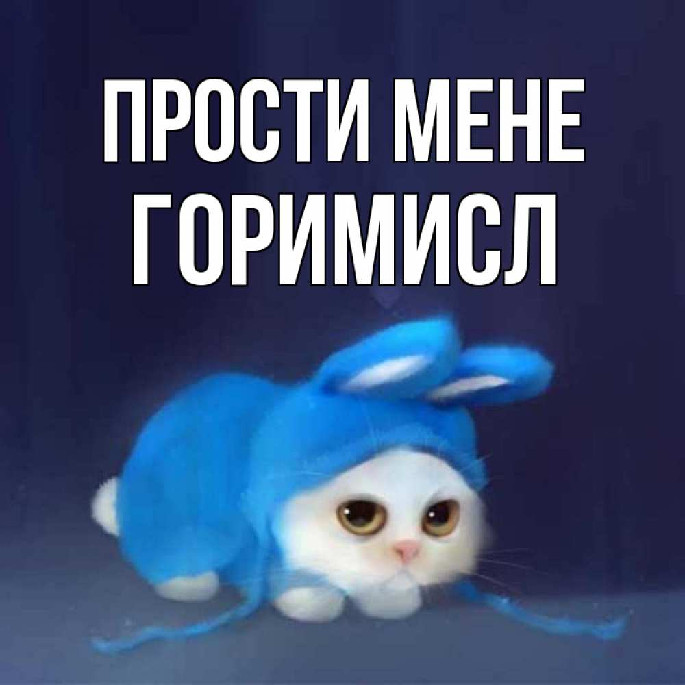 Открытка на каждый день з підписом, Горимисл Прости мене невинный котозай просит прощения Прикольна листівка з побажанням онлайн скачати безкоштовно 