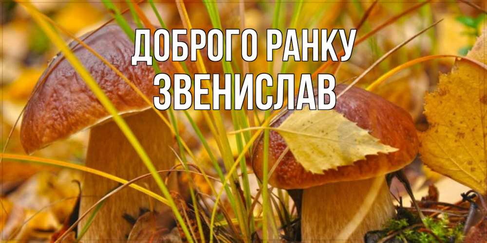 Открытка на каждый день з підписом, Звенислав Доброго ранку осенние грибы Прикольна листівка з побажанням онлайн скачати безкоштовно 