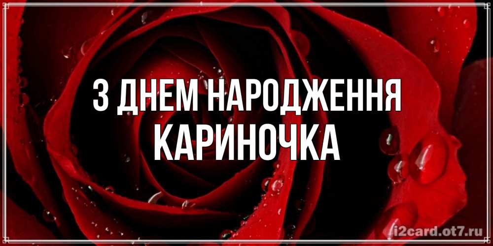 Открытка на каждый день з підписом, Кариночка З Днем народження крупная бордовая роза Прикольна листівка з побажанням онлайн скачати безкоштовно 