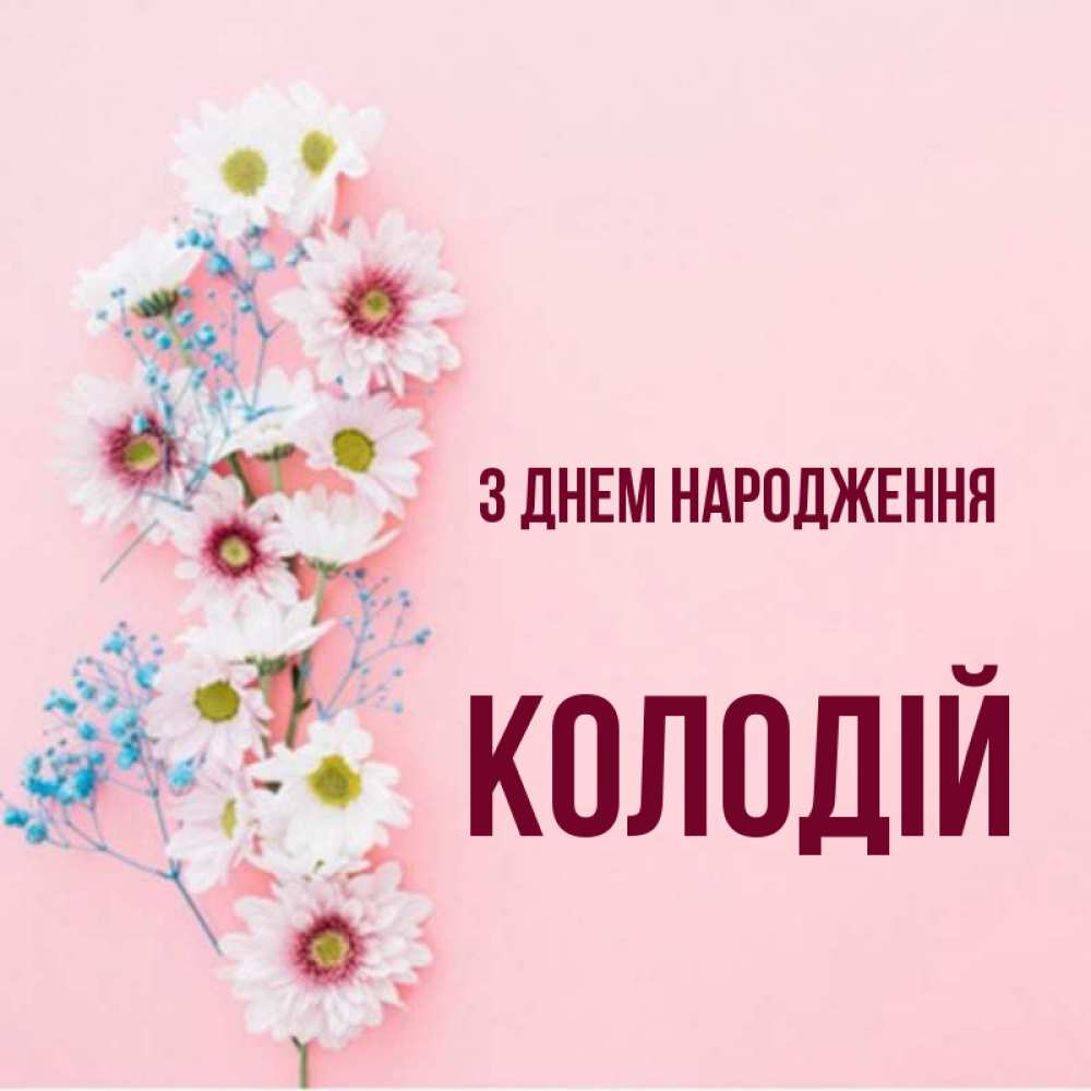 Открытка на каждый день з підписом, Колодій З Днем народження Родная моя с днем рождения тебя картинка с цветами белыми и голубыми Прикольна листівка з побажанням онлайн скачати безкоштовно 