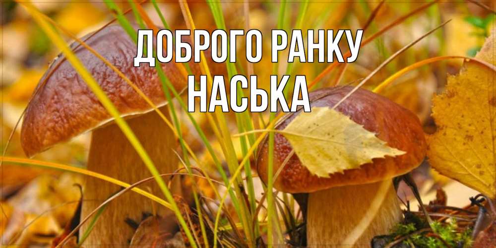 Открытка на каждый день з підписом, Наська Доброго ранку осенние грибы Прикольна листівка з побажанням онлайн скачати безкоштовно 