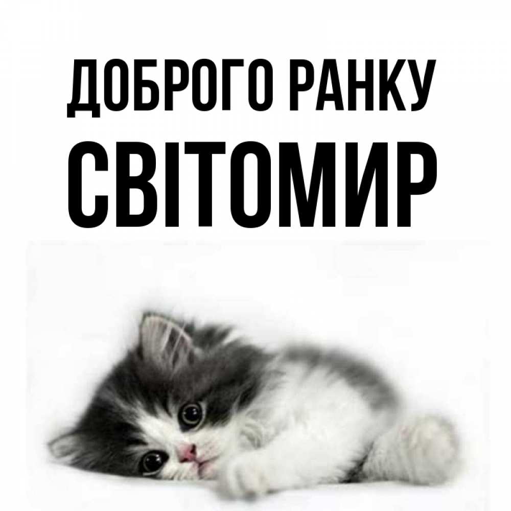 Открытка на каждый день з підписом, Світомир Доброго ранку кот лапки Прикольна листівка з побажанням онлайн скачати безкоштовно 