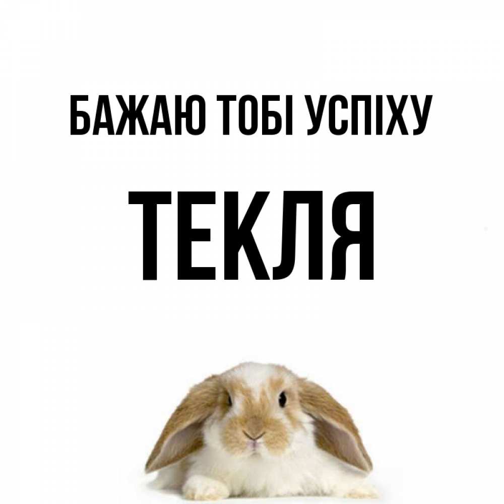 Открытка на каждый день з підписом, Текля Бажаю тобі успіху открытки с произвольным текстом который можно вставить в открытку и создать ее самостоятельно бесплатно онлайн Прикольна листівка з побажанням онлайн скачати безкоштовно 