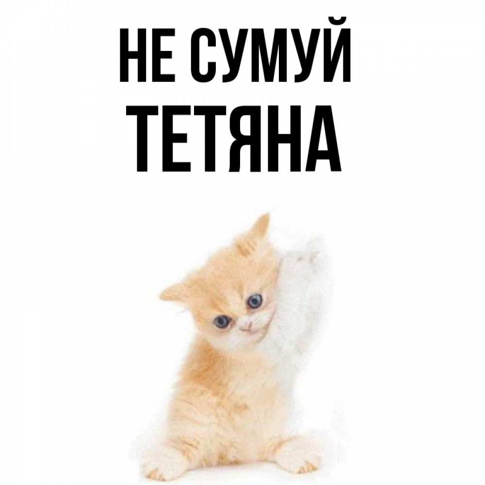Открытка на каждый день з підписом, Тетяна Не сумуй просящий кот Прикольна листівка з побажанням онлайн скачати безкоштовно 