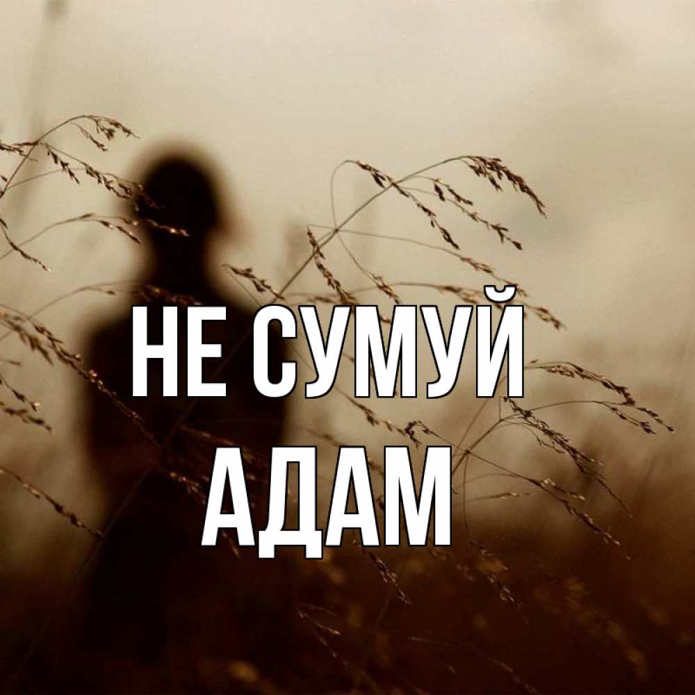 Открытка на каждый день з підписом, Адам Не сумуй грусть Прикольна листівка з побажанням онлайн скачати безкоштовно 