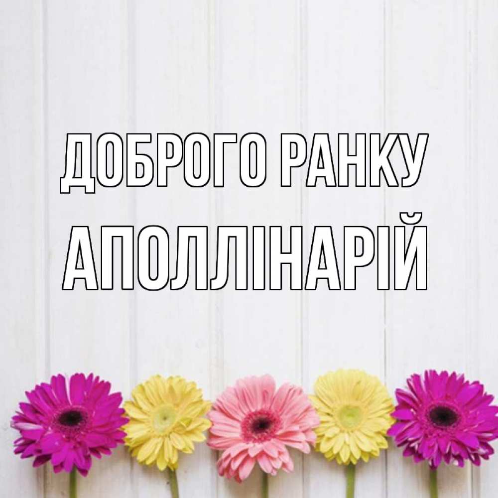 Открытка на каждый день з підписом, Аполлінарій Доброго ранку красный желтый и розовый цветок Прикольна листівка з побажанням онлайн скачати безкоштовно 