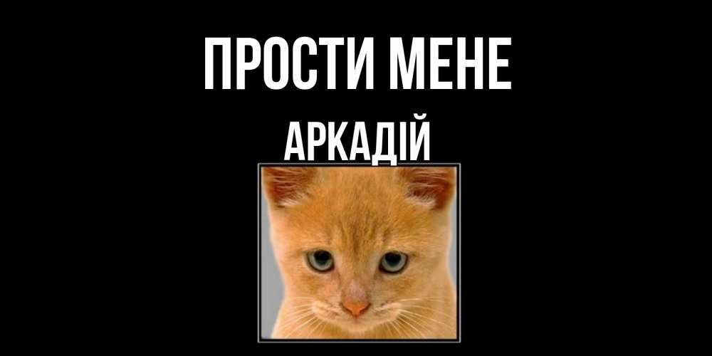 Открытка на каждый день з підписом, Аркадій Прости мене рыжий грустный кот просит прощения Прикольна листівка з побажанням онлайн скачати безкоштовно 