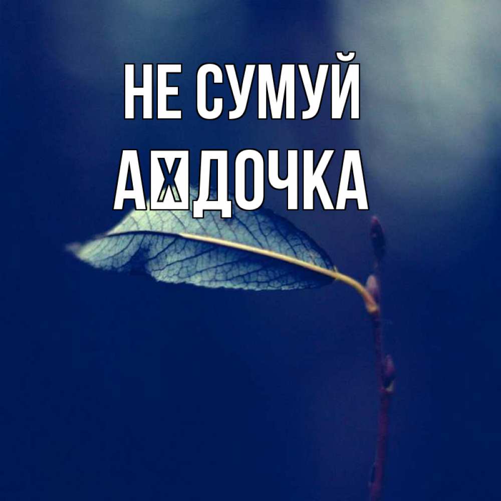 Открытка на каждый день з підписом, Аїдочка Не сумуй растение Прикольна листівка з побажанням онлайн скачати безкоштовно 