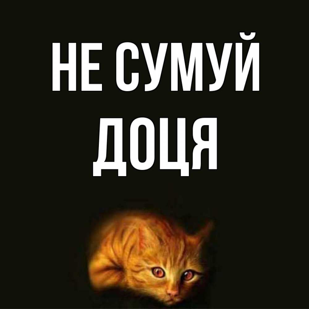 Открытка на каждый день з підписом, Доця Не сумуй лежащий кот в темноте Прикольна листівка з побажанням онлайн скачати безкоштовно 