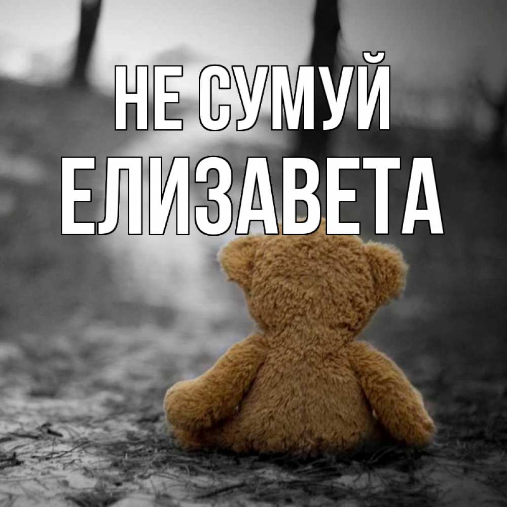Открытка на каждый день з підписом, Елизавета Не сумуй медведь со спин Прикольна листівка з побажанням онлайн скачати безкоштовно 