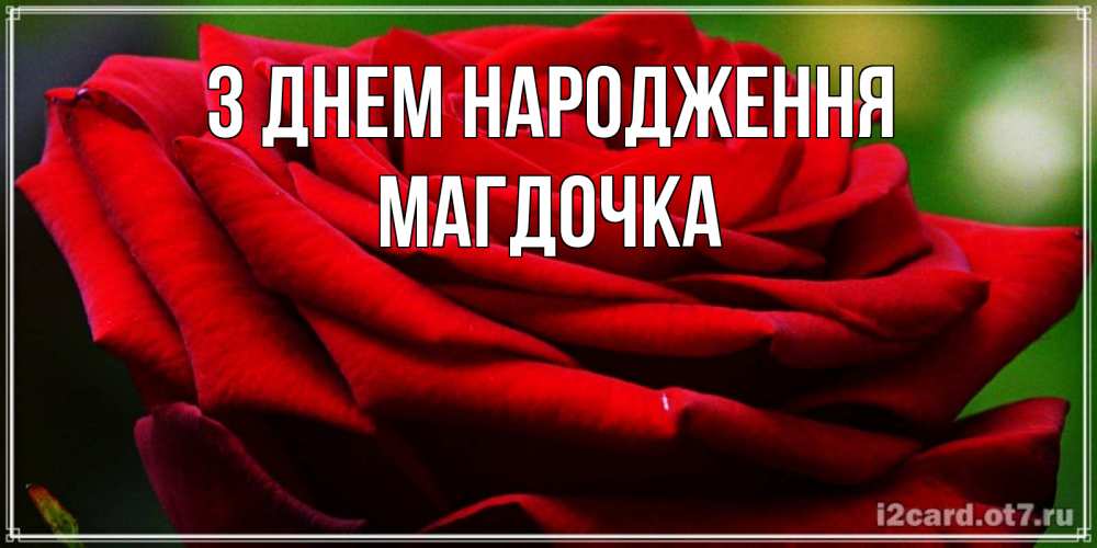 Открытка на каждый день з підписом, Магдочка З Днем народження розочка очень красивая Прикольна листівка з побажанням онлайн скачати безкоштовно 