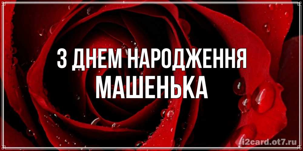Открытка на каждый день з підписом, Машенька З Днем народження крупная бордовая роза Прикольна листівка з побажанням онлайн скачати безкоштовно 