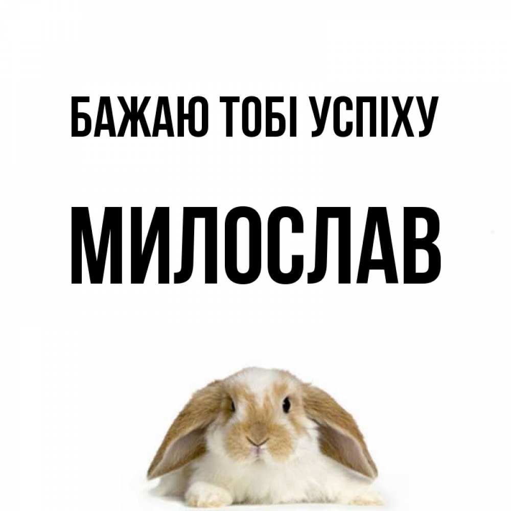 Открытка на каждый день з підписом, Милослав Бажаю тобі успіху открытки с произвольным текстом который можно вставить в открытку и создать ее самостоятельно бесплатно онлайн Прикольна листівка з побажанням онлайн скачати безкоштовно 