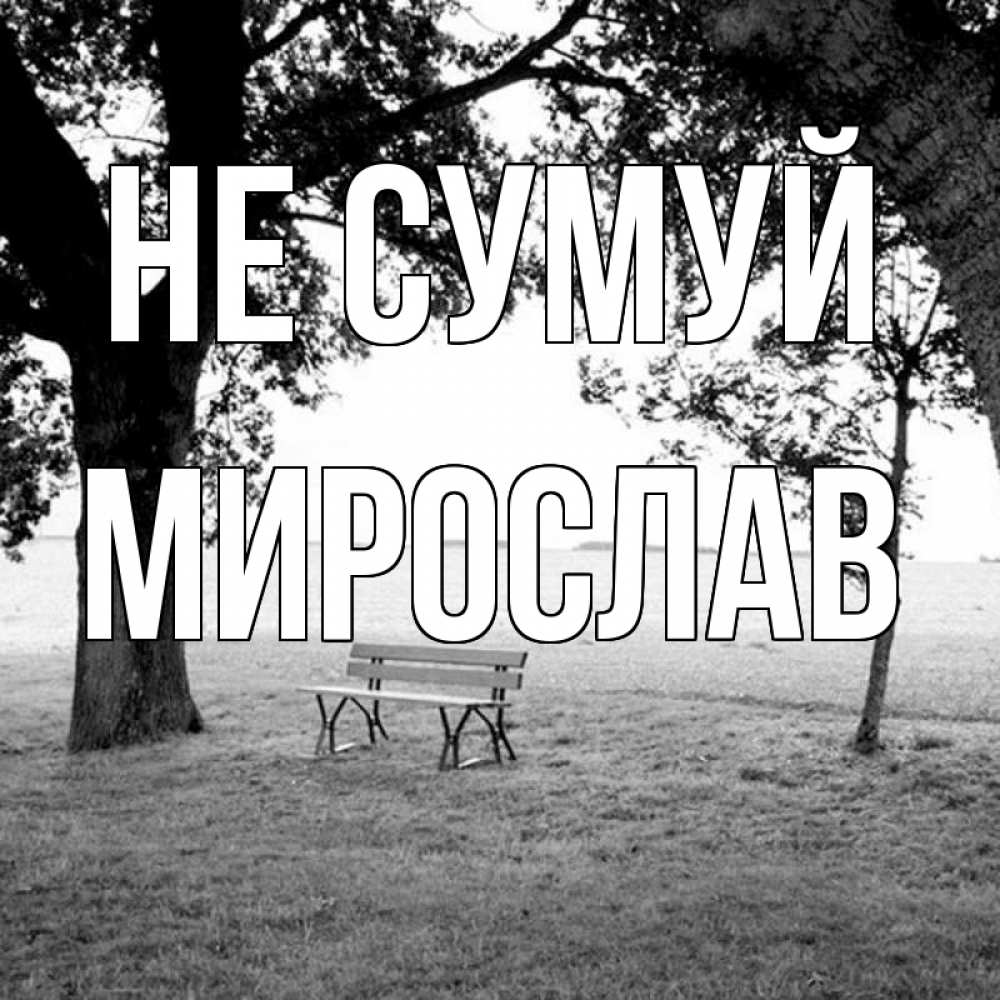 Открытка на каждый день з підписом, Мирослав Не сумуй мощное дерево Прикольна листівка з побажанням онлайн скачати безкоштовно 