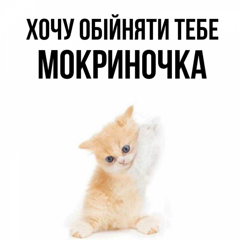 Открытка на каждый день з підписом, Мокриночка Хочу обійняти тебе я хочу очень скорее обнимаешек Прикольна листівка з побажанням онлайн скачати безкоштовно 