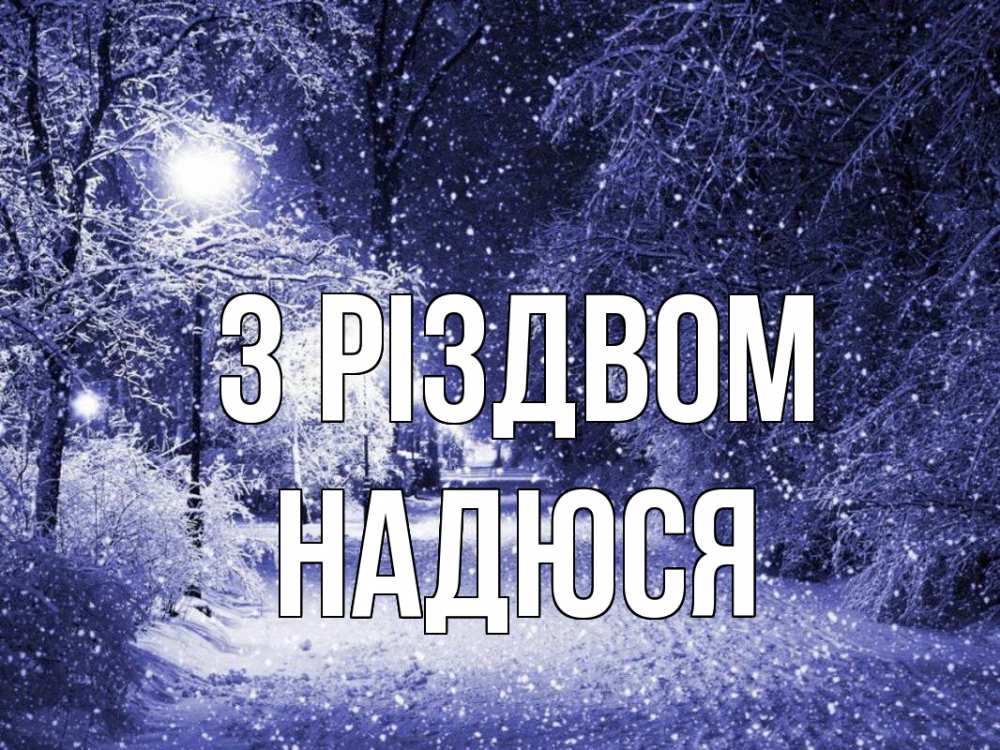 Открытка на каждый день з підписом, Надюся З Різдвом зима, снег, фонарь Прикольна листівка з побажанням онлайн скачати безкоштовно 