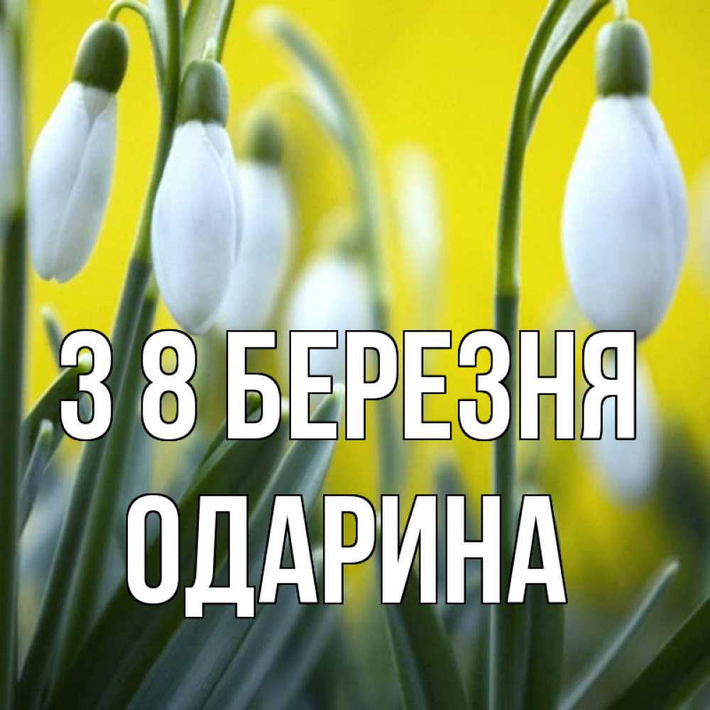 Открытка на каждый день з підписом, Одарина З 8 БЕРЕЗНЯ весенние цветы Прикольна листівка з побажанням онлайн скачати безкоштовно 