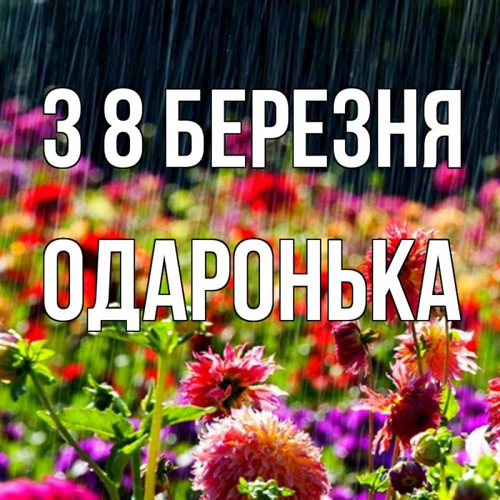 Открытка на каждый день з підписом, Одаронька З 8 БЕРЕЗНЯ цветы под дождиком к международному женскому дню Прикольна листівка з побажанням онлайн скачати безкоштовно 