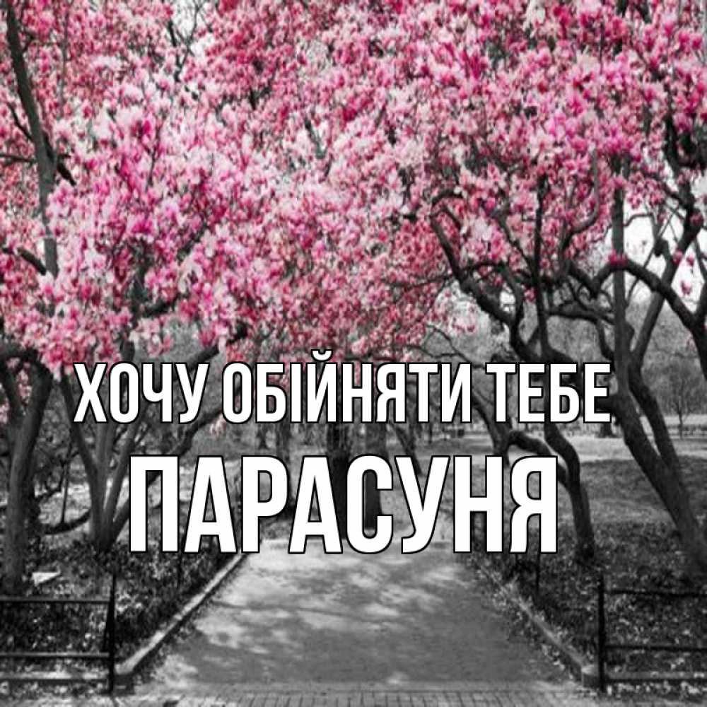 Открытка на каждый день з підписом, Парасуня Хочу обійняти тебе обработанное фото Прикольна листівка з побажанням онлайн скачати безкоштовно 