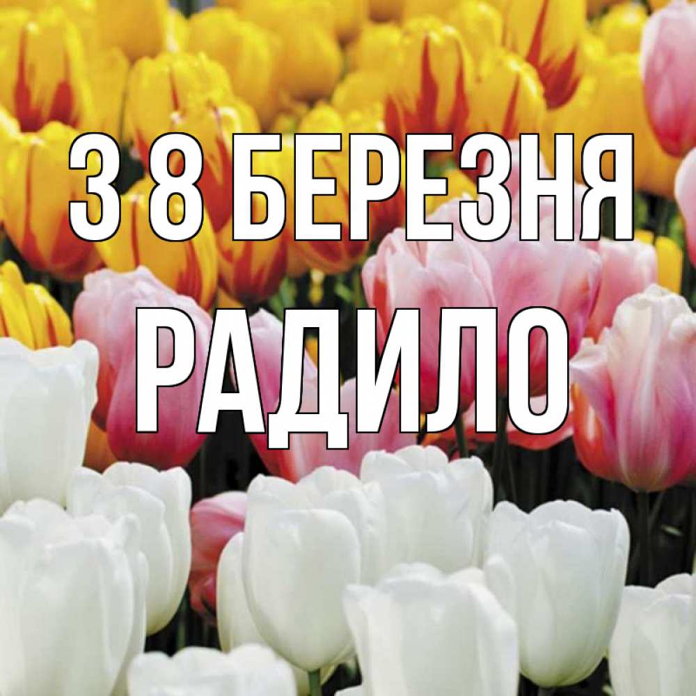 Открытка на каждый день з підписом, Радило З 8 БЕРЕЗНЯ разноцветные цветы Прикольна листівка з побажанням онлайн скачати безкоштовно 