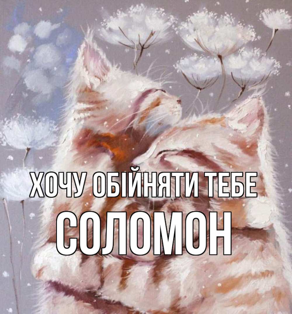 Открытка на каждый день з підписом, Соломон Хочу обійняти тебе Море и горы Прикольна листівка з побажанням онлайн скачати безкоштовно 