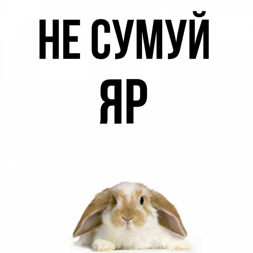 Открытка на каждый день з підписом, Яр Не сумуй коричнево белый заяц с большими ушками Прикольна листівка з побажанням онлайн скачати безкоштовно 
