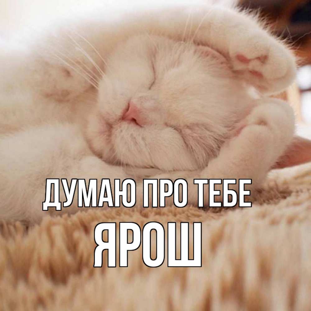 Открытка на каждый день з підписом, Ярош Думаю про тебе для любимой девушки милота Прикольна листівка з побажанням онлайн скачати безкоштовно 
