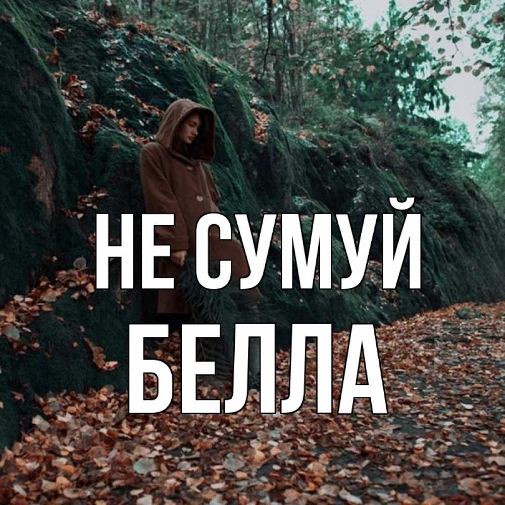 Открытка на каждый день з підписом, Белла Не сумуй осенний лес Прикольна листівка з побажанням онлайн скачати безкоштовно 