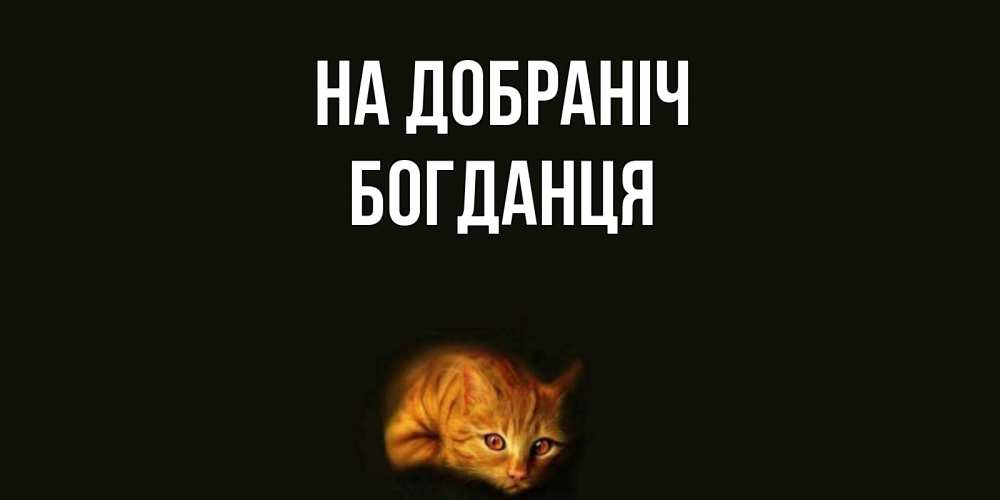 Открытка на каждый день з підписом, Богданця На добраніч кот Прикольна листівка з побажанням онлайн скачати безкоштовно 