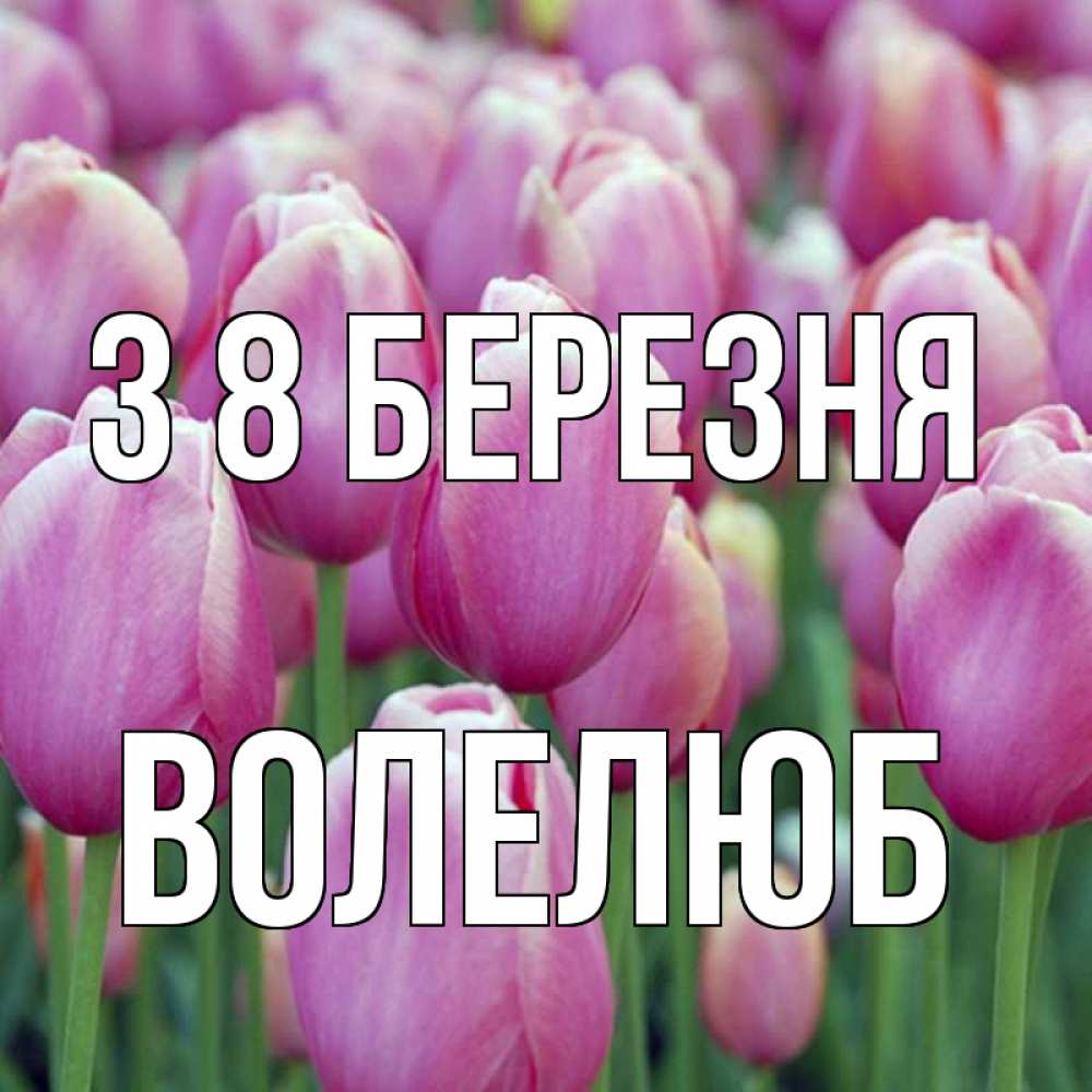 Открытка на каждый день з підписом, Волелюб З 8 БЕРЕЗНЯ на международный женский день 3 Прикольна листівка з побажанням онлайн скачати безкоштовно 