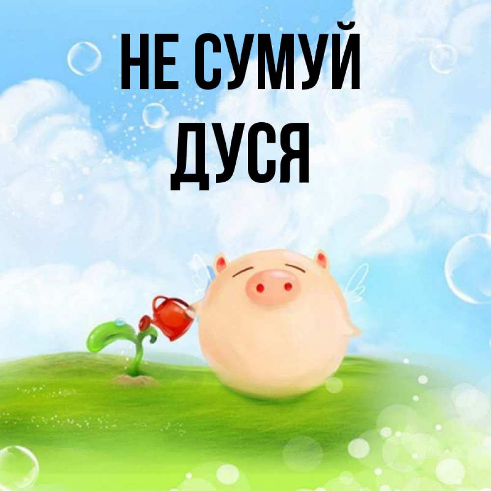 Открытка на каждый день з підписом, Дуся Не сумуй поливает цветок порося Прикольна листівка з побажанням онлайн скачати безкоштовно 
