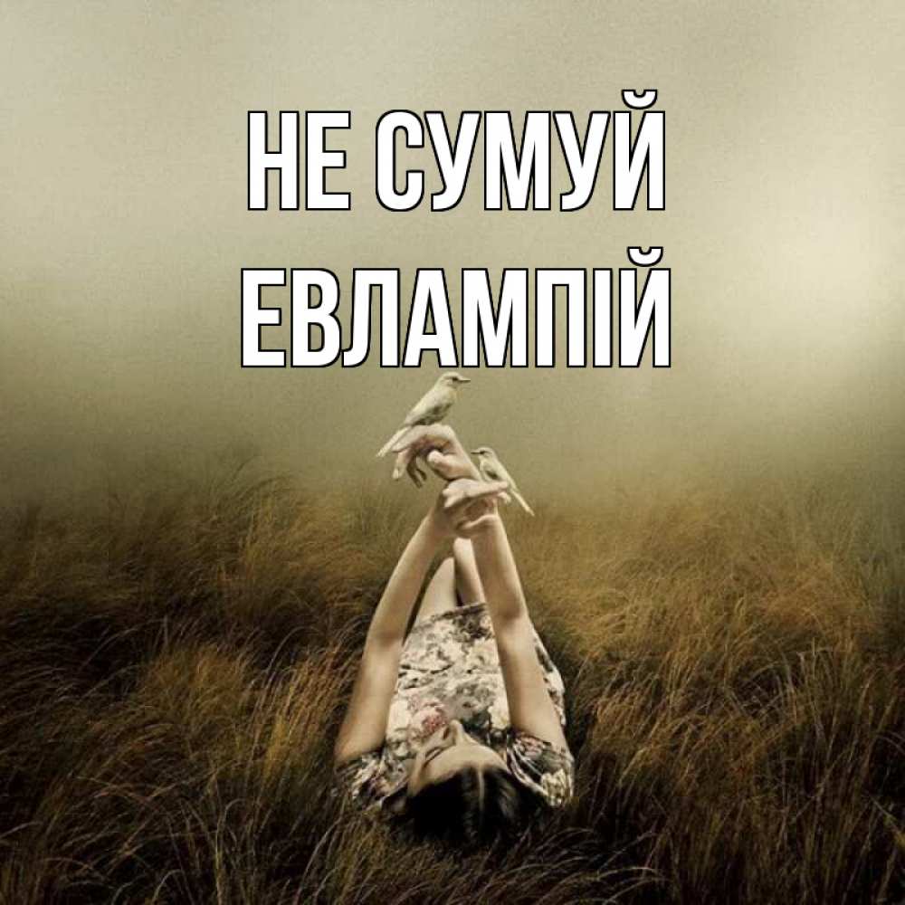 Открытка на каждый день з підписом, Евлампій Не сумуй поле и туман Прикольна листівка з побажанням онлайн скачати безкоштовно 