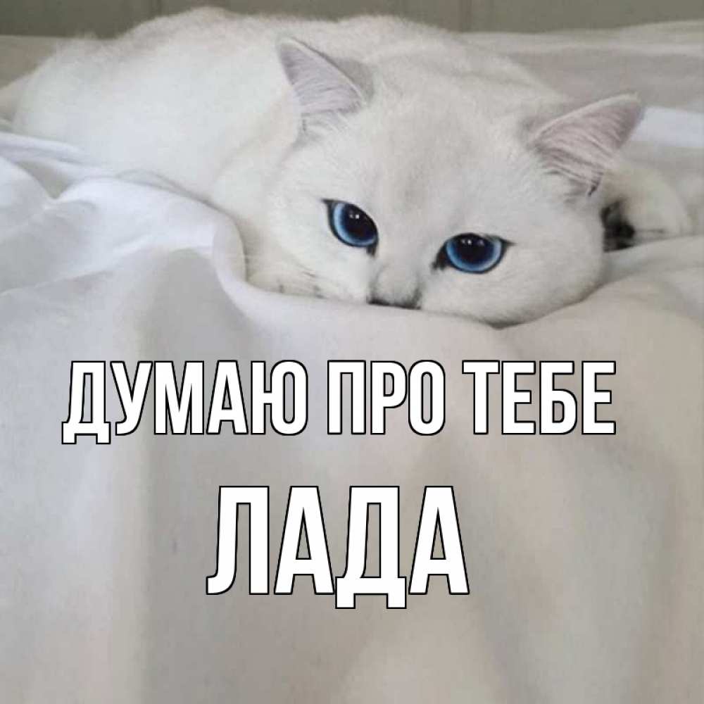 Открытка на каждый день з підписом, Лада Думаю про тебе я очень по тебе скучаю и тоскую Прикольна листівка з побажанням онлайн скачати безкоштовно 