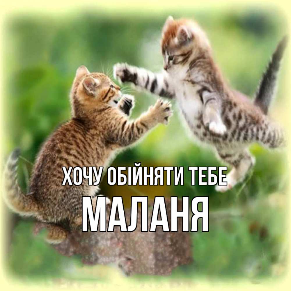 Открытка на каждый день з підписом, Маланя Хочу обійняти тебе игры котят Прикольна листівка з побажанням онлайн скачати безкоштовно 