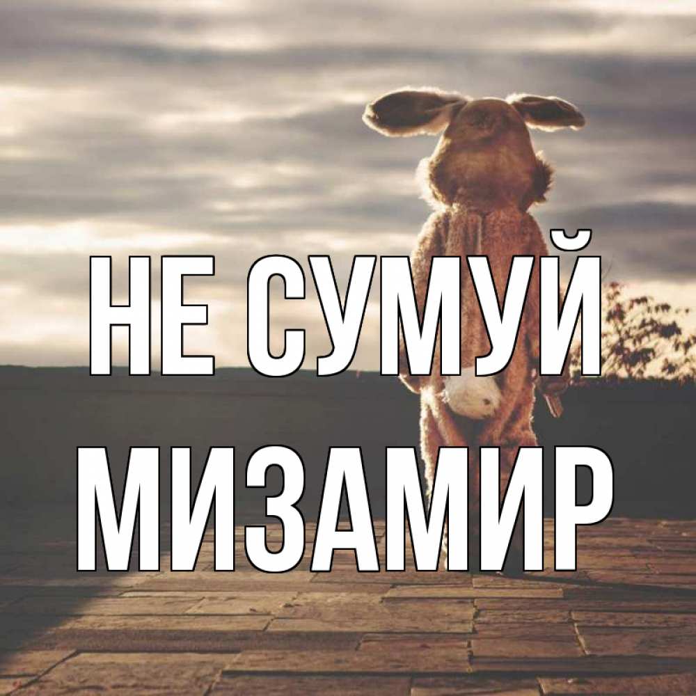 Открытка на каждый день з підписом, Мизамир Не сумуй со спины Прикольна листівка з побажанням онлайн скачати безкоштовно 
