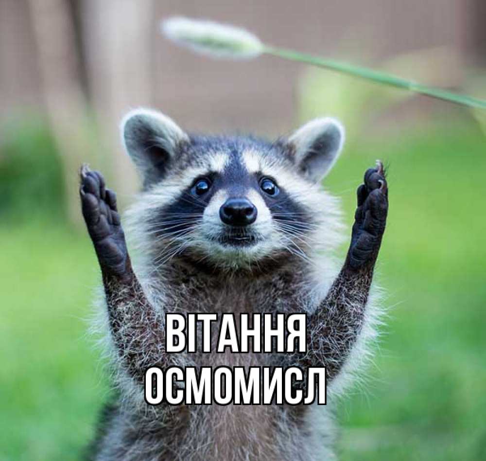 Открытка на каждый день з підписом, Осмомисл Вітання животные Прикольна листівка з побажанням онлайн скачати безкоштовно 