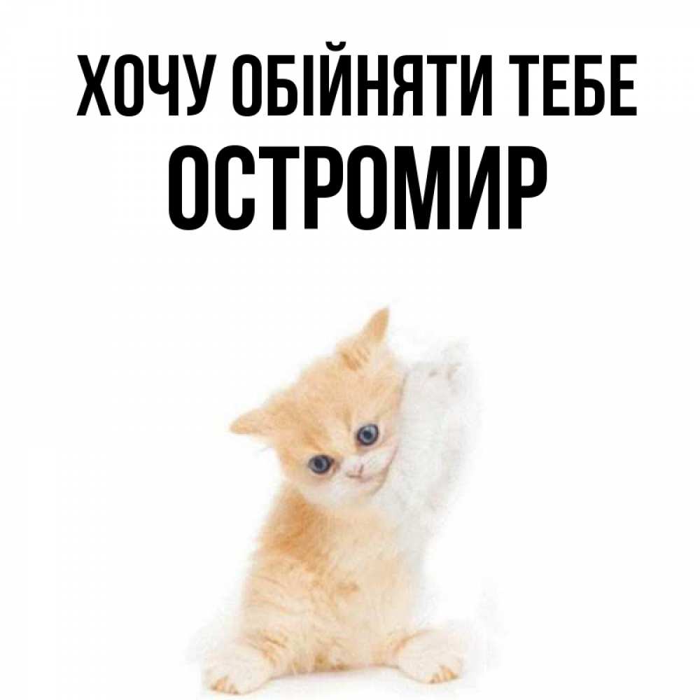 Открытка на каждый день з підписом, Остромир Хочу обійняти тебе я хочу очень скорее обнимаешек Прикольна листівка з побажанням онлайн скачати безкоштовно 