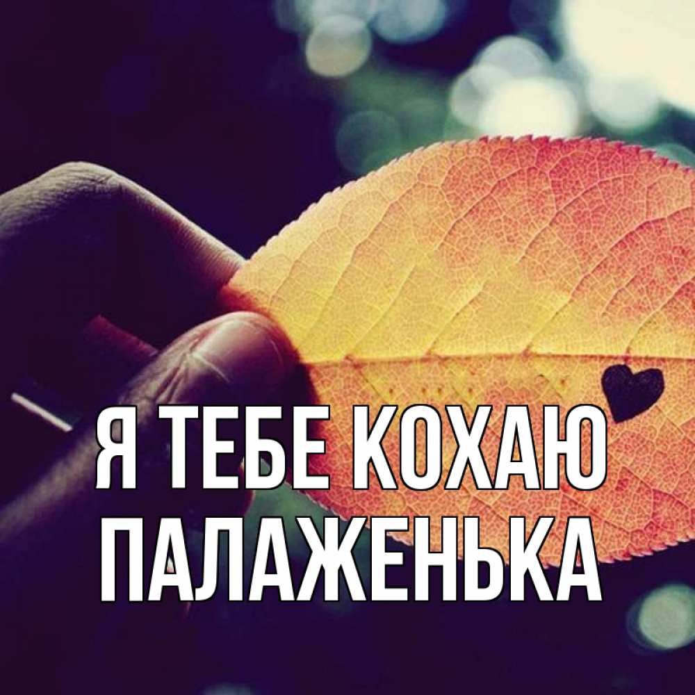 Открытка на каждый день з підписом, Палаженька Я тебе кохаю держу лист Прикольна листівка з побажанням онлайн скачати безкоштовно 