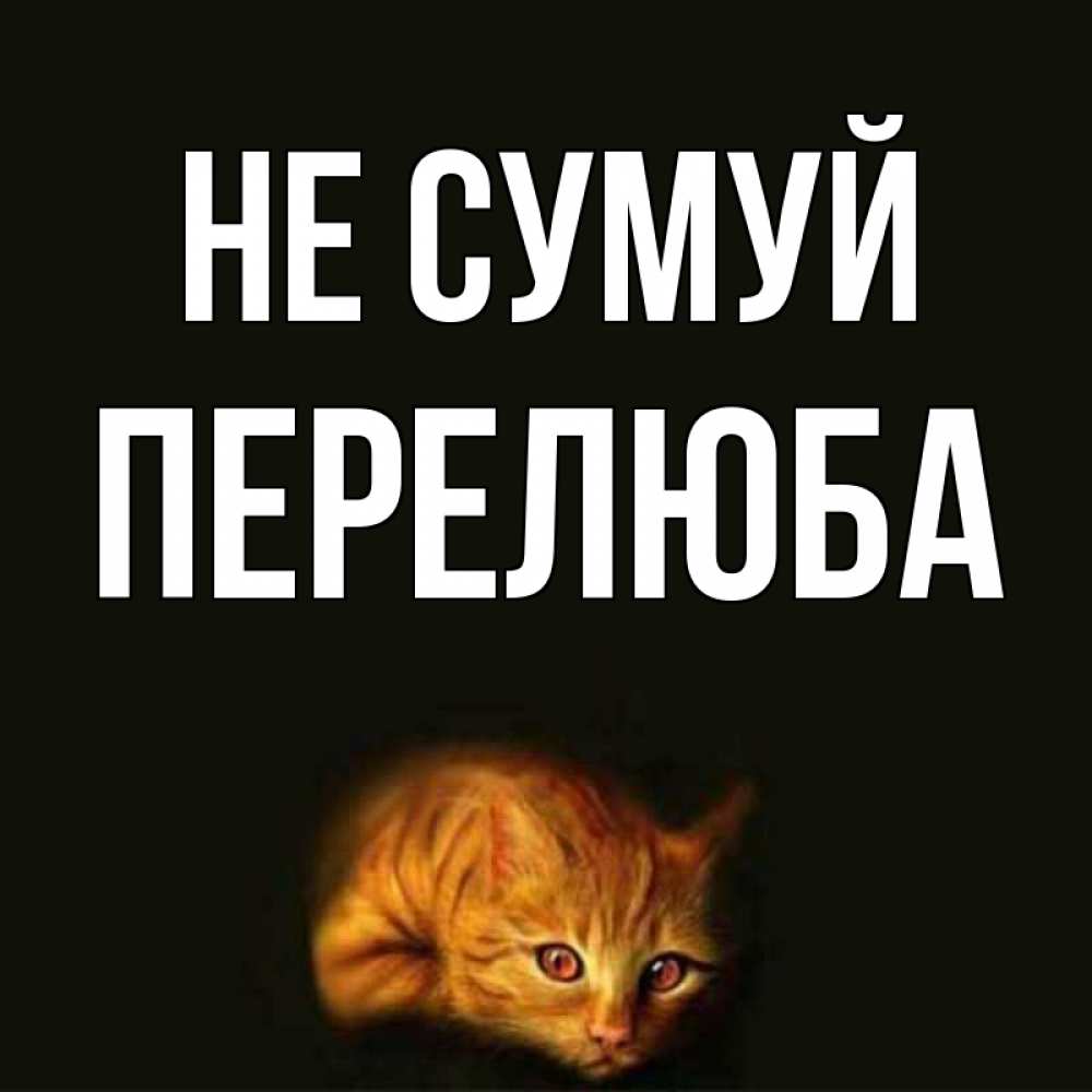Открытка на каждый день з підписом, Перелюба Не сумуй лежащий кот в темноте Прикольна листівка з побажанням онлайн скачати безкоштовно 