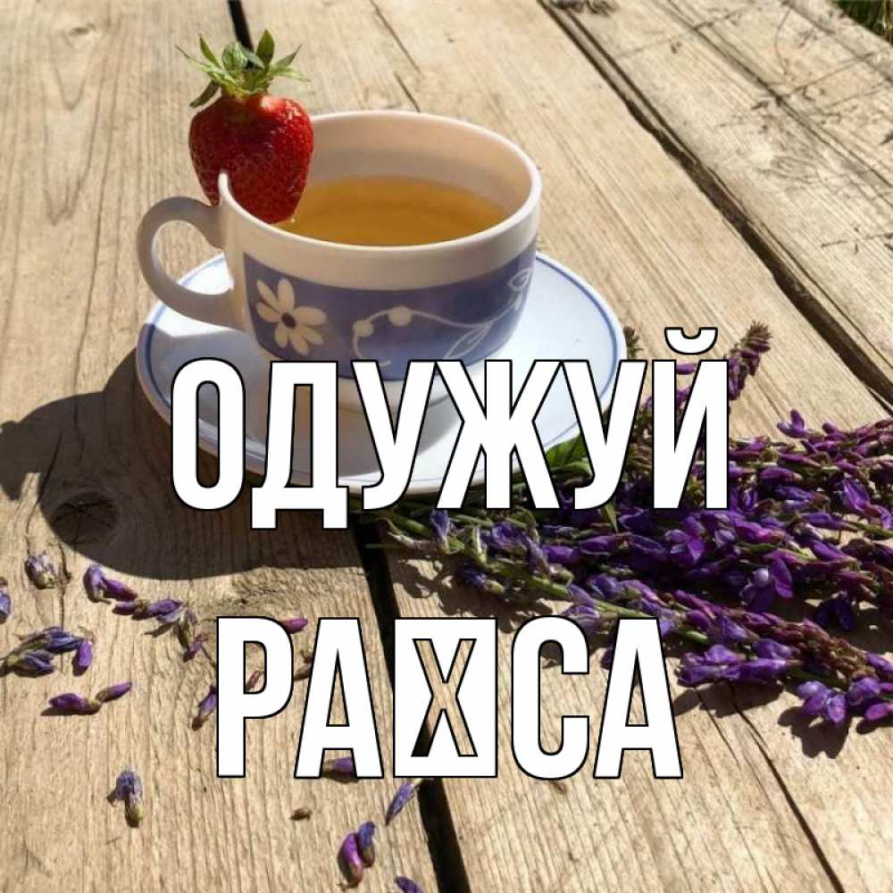 Открытка на каждый день з підписом, Раїса Одужуй чай Прикольна листівка з побажанням онлайн скачати безкоштовно 