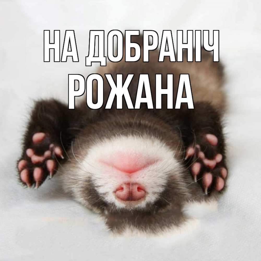 Открытка на каждый день з підписом, Рожана На добраніч зверек Прикольна листівка з побажанням онлайн скачати безкоштовно 