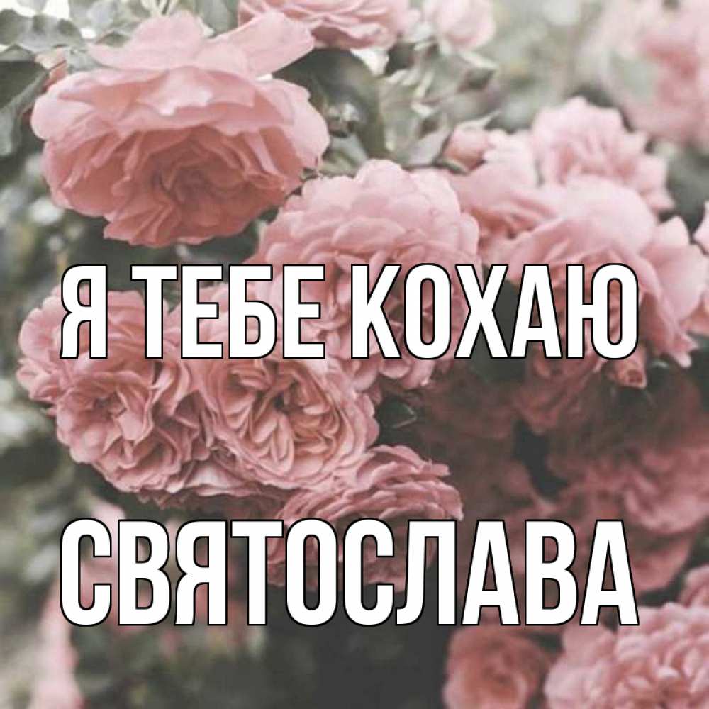 Открытка на каждый день з підписом, Святослава Я тебе кохаю розы 3 Прикольна листівка з побажанням онлайн скачати безкоштовно 