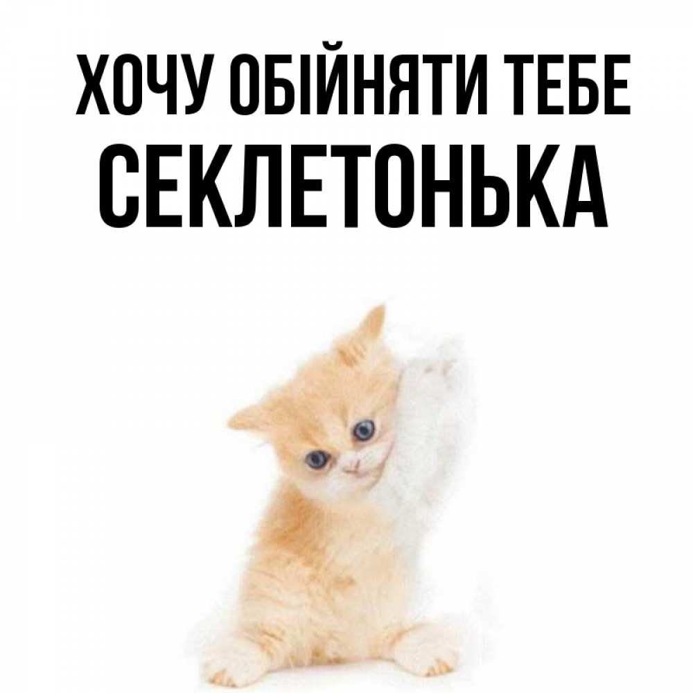 Открытка на каждый день з підписом, Секлетонька Хочу обійняти тебе я хочу очень скорее обнимаешек Прикольна листівка з побажанням онлайн скачати безкоштовно 