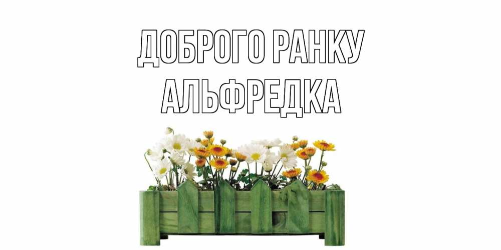 Открытка на каждый день з підписом, Альфредка Доброго ранку цветы Прикольна листівка з побажанням онлайн скачати безкоштовно 
