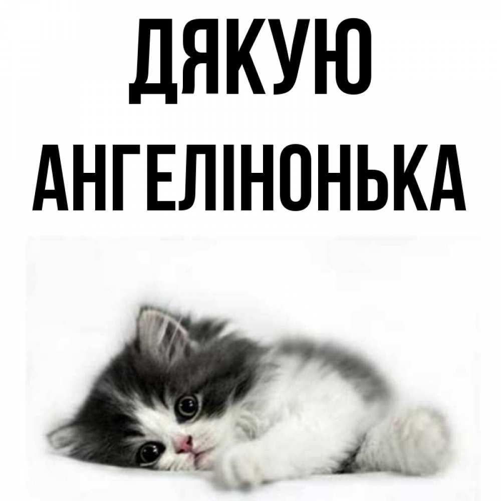 Открытка на каждый день з підписом, Ангелінонька Дякую черный и белый кот Прикольна листівка з побажанням онлайн скачати безкоштовно 