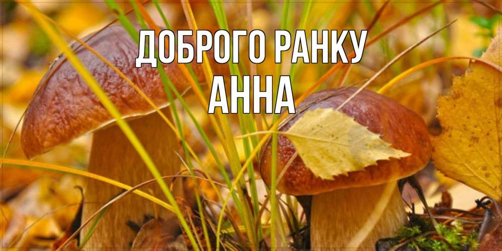 Открытка на каждый день з підписом, Анна Доброго ранку осенние грибы Прикольна листівка з побажанням онлайн скачати безкоштовно 
